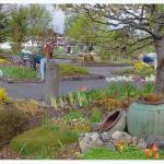 Members of the Oak Harbor Garden Club maintain Hal Ramaley Park in years past. (Photo provided)