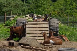 Photo by Caitlyn Anderson