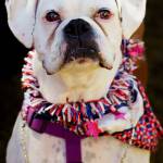 Photo by David Welton