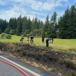 (Photo provided)
Firefighters worked quickly to extinguish a grass fire near Clinton.