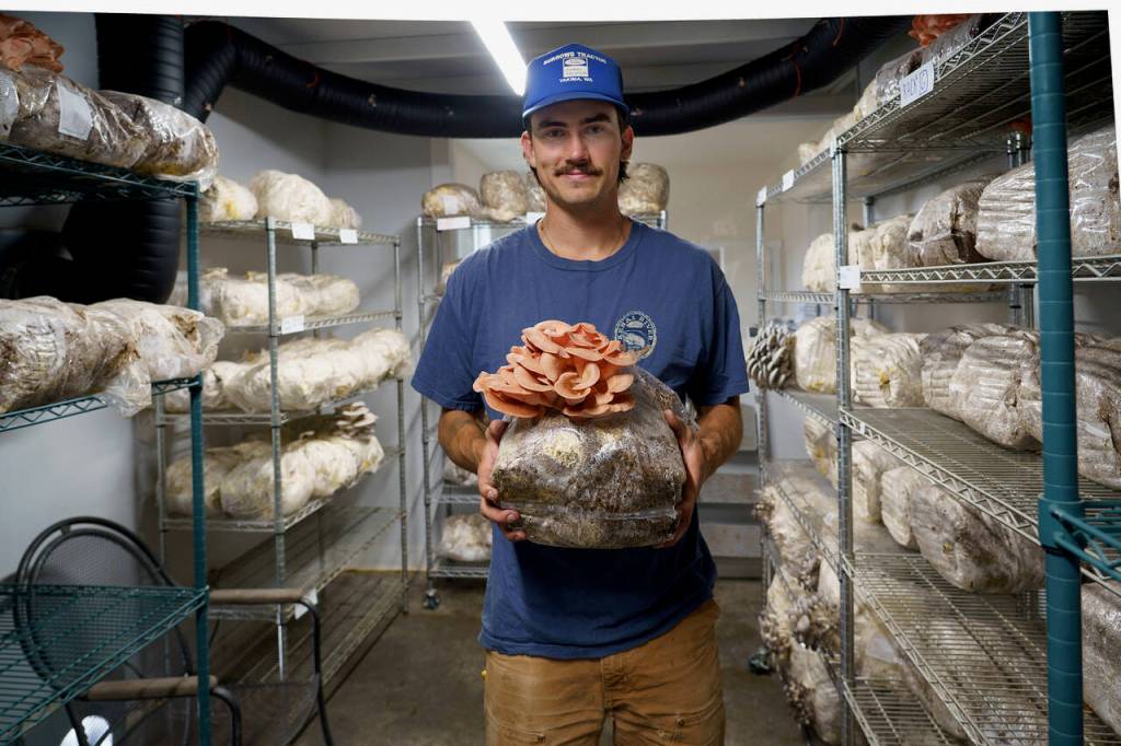 (Photo by David Welton)
Kai Fletcher proudly displays pink oyster mushrooms he grew.