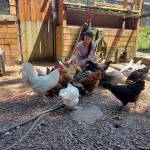 Rochelle Johannessen feeds her flock. (Photo by Kira Erickson/South Whidbey Record)