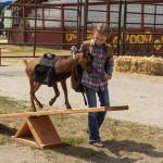 Lina Moreno, 8, of Greenbank leads her goat Dalliah through an obstacle course during the showmanship competition. (Photo by Caitlyn Anderson)
