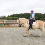 Pat Lamont rides Merit at a horse riding arena on North Whidbey. (Photo by Luisa Loi)