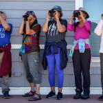 From left, birders Dan Meyer, Cathi Bower, Marge Plecki, Pam Nodus and Mary Hollen search the skies for purple martins. (Photo by David Welton)