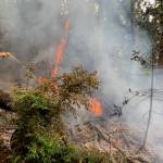 Hillel Coates mans a garden hose to fight a brush fire. (Photo by John Graham)