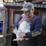 Photos by Kira Erickson/South Whidbey Record
Shawn Van Giesen shares a tender moment with Heineken, a giant white Bantam chicken.