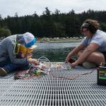 Maya Overn (left) and Pippa Place command an underwater robot at Cornet Bay on Friday. (Photo by Sam Fletcher)