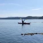 An Island County Marine Resources Committee volunteer monitors bull kelp for a collaborative project studying kelp in the Salish Sea. (Photo provided)