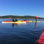 Volunteers for the Island County Marine Resources Committee monitor bull kelp for a collaborative project studying kelp in the Salish Sea. (Photo provided)