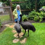 South Whidbey resident Tori Hagberg received some friendly visitors this week. (Photo provided)