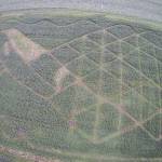 A drone photo of the whale maze. (Photo provided)
