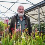 Photo by Luisa Loi
Henry VandenHaak also grows carnivorous plants.