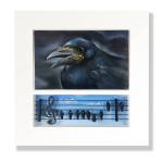 Photo provided
Blackbird by Doug Hansen.