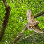 Photo by Cara Hefflinger