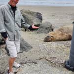 (Photo provided)
Garry Heinrich, response coordinator for the Central Puget Sound Marine Mammal Response Network, stands before an elephant seal.