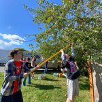 Photo provided
Woodhaven freshmen Carl Kohlhaas, left, and Carter Kalb use apple pickers to reach fresh produce.