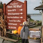 (Photo by Luisa Loi)
The Port of Coupevilles display welcomes visitors to the Wharf.