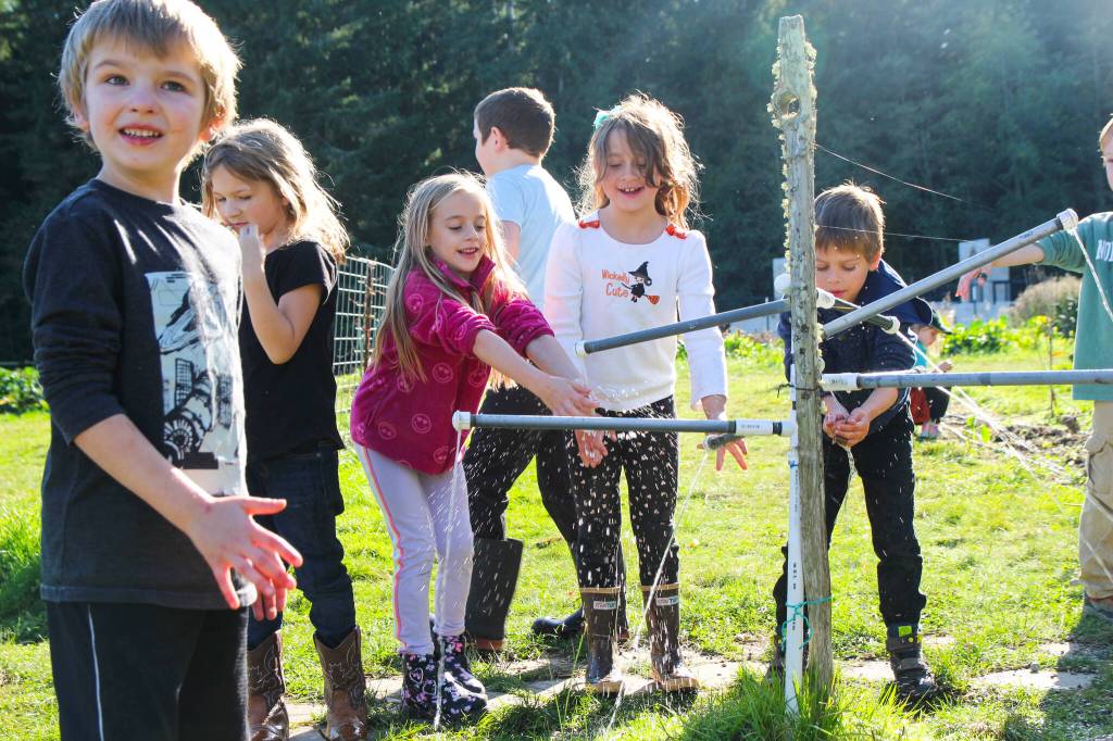 At left, Michael Burrier, Aria Sarver, Olivia Imbery, Neve Hoelting and Finn Schierholtz wash their hands before eating some garden tacos, made with the fruits of their labor. (Photo by Luisa Loi)