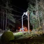 Photo by Patrick Hanlon
Crews repaired a power line on Alamo Way Monday night after a tree cut off power and blocked the road early in the afternoon.