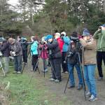 Audubon Society looks for birds near Deception Pass. (Photo by Joe Sheldon)