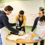 (Photo by Luisa Loi)
At left, Aaron Bates, Andy Angeles, Career Coach Cristina Frisby and Zoe Castillo prepare deviled eggs.