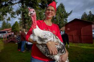 Photo by David Welton
A turkey that survived the Thanksgiving season last year made an appearence at the 2023 Holly Jolly Parade in Langley.
