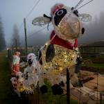 (Photo by David Welton)
Flying cows, illuminated by Christmas lights, hang along the fence.