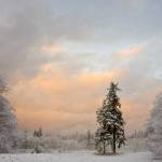 Photo by David Welton