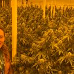 Bethany Rondeaux, co-owner of Falcanna, stands in her indoor field of cannabis. (Photo provided)