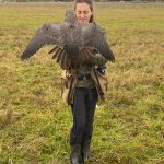 Bethany Rondeaux trains her falcon. (Photo provided)