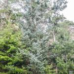 Photo by Ian Tiessen