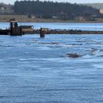 (Photo provided)
Driftwood prevented the Salish from landing at Keystone Harbor on Tuesday.