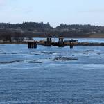 (Photo provided)
Driftwood prevented the Salish from landing at Keystone Harbor on Tuesday.