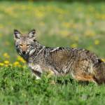 Photo by Jennifer Holmes