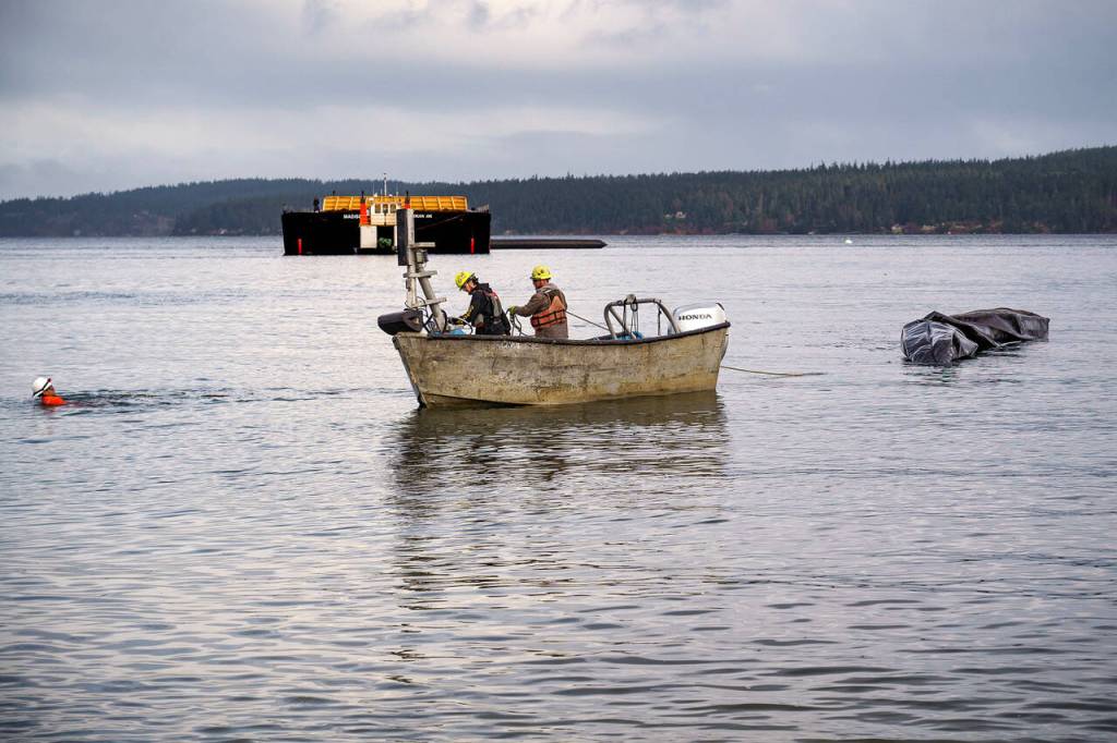 Photo by David Welton