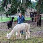 (Photo by Luisa Loi)
LeeAnna Jorgenson, co-owner of Pronkin Pastures, stands among her beloved alpacas and their calming presence.