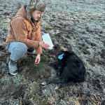 Bart Crowder, president of the Farm Bureau, feeds a calf on the 1902 Ranch in Coupeville. (Photo provided)