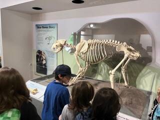 (Photo provided)
With support from the South Whidbey Schools Foundation, Lori OBriens students visited the Seattle Zoo last year.