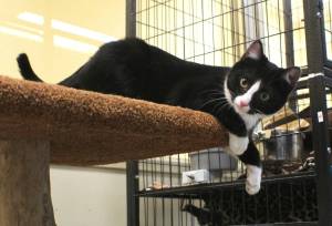 Photo by Karina Andrew/WAIF