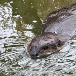 Photo by Helen Erickson