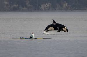 Photo by Cindi Rausch