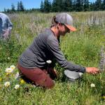 Mosa Neis of PRI works restoring prairie habitat.