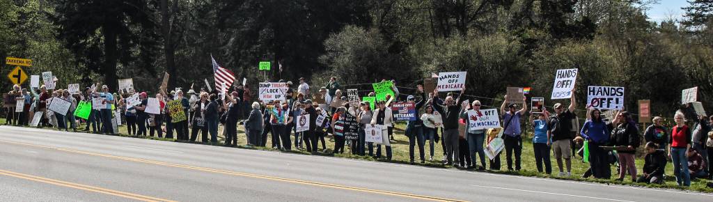 In Oak Harbor, residents protested against the Department of Government Efficiency, tariffs, deportations, the reduction of protections for transgender people, the dismantlement of the Department of Education, the elimination of thousands of federal jobs and more. The event was a cacophony of honking cars, chants, singing and lively chatter. (Photo by Luisa Loi)