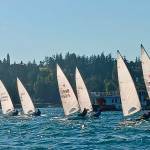 (Photo provided)
The Laser fleet breeze across Holmes Harbor.