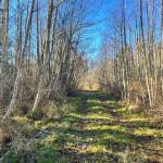The Holmes Harbor Community Forest is located near East Harbor Road. (Photo provided by Whidbey Camano Land Trust.)