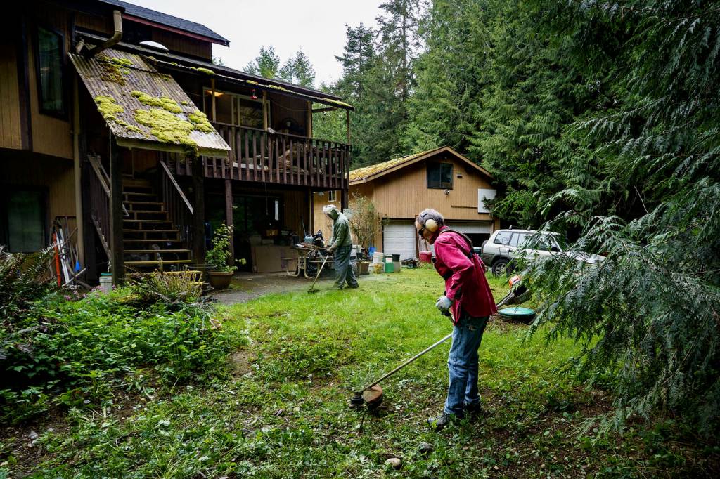 Adam Breedlove weed whacks an overgrown yard at Marianne Edain and Steve Ericksons home.