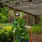 Dr. Gina Bernal, physical therapist at Prism PT in Greenbank, deals with blackberry vines. Bernal volunteered to help with landscape clearing at Julie Hougoms home in Clinton