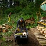 Photo by David Welton
A crew member for Hearts & Hammers hauls logs from tree removal operation.
