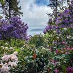 Photo by Ron Newberry